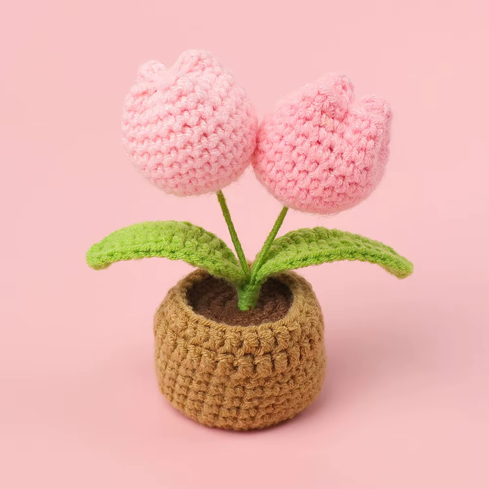 Belle tulipe Crochet en pot tricoté tulipes