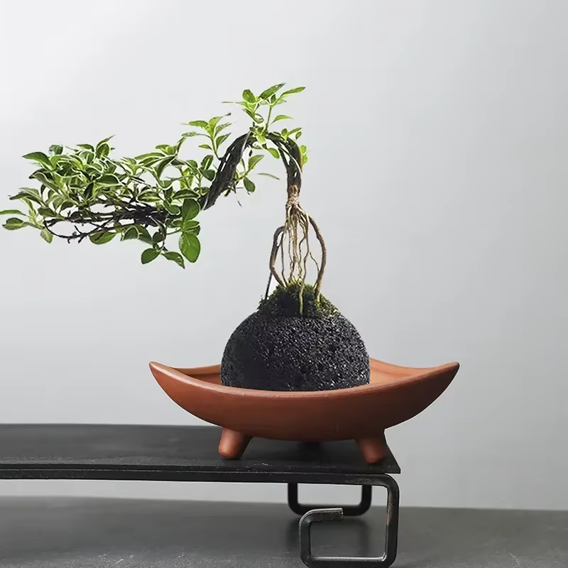 Pots de fleurs en céramique pour bambou
