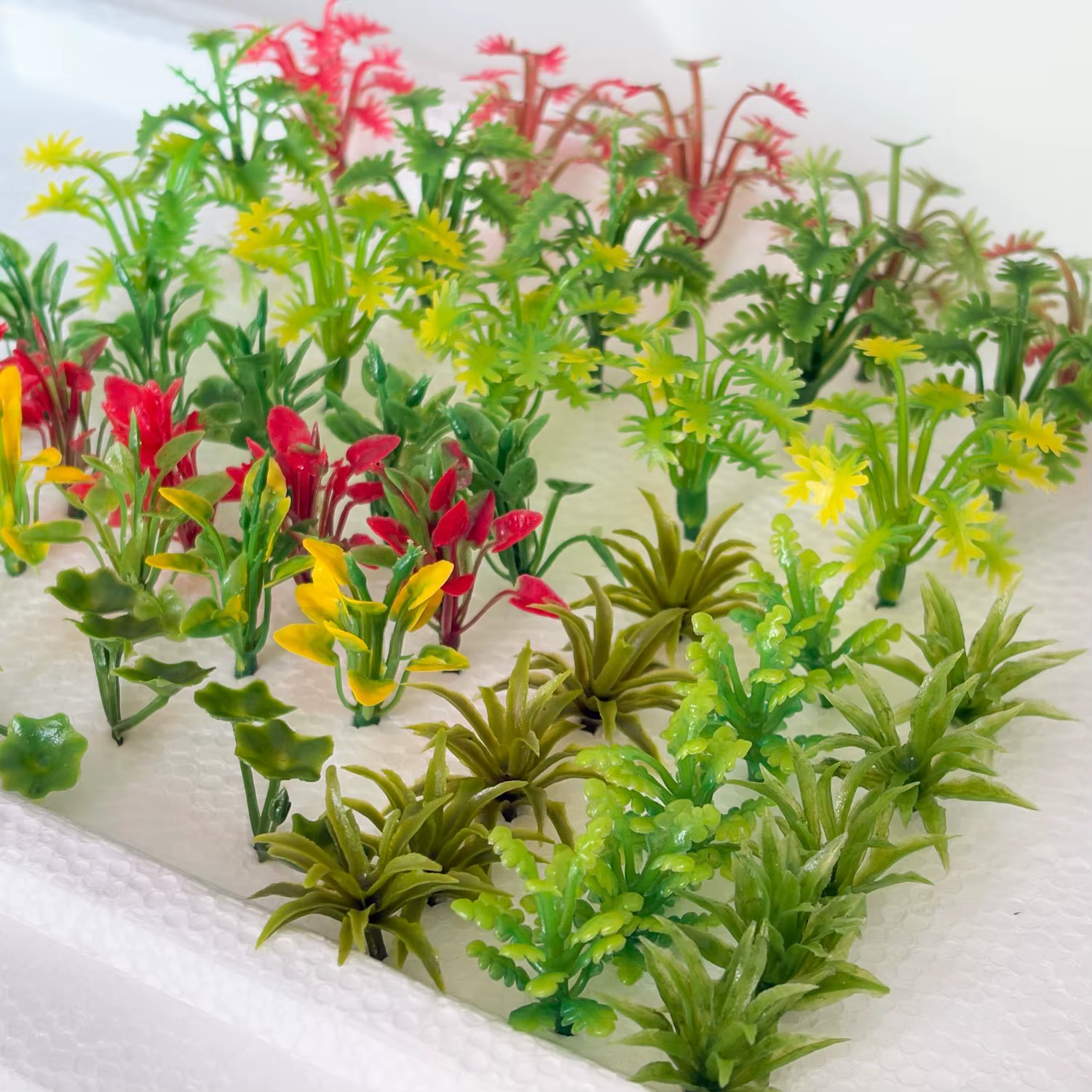 50 pièces plantes modèles de couleurs mélangées