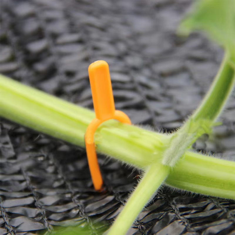 Lot de 50 attaches de jardinage en plastique