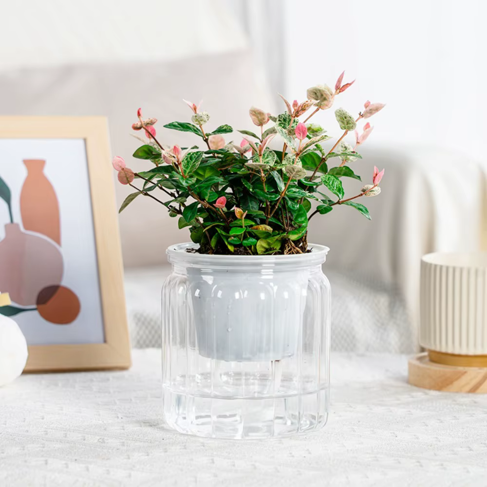 Mini jardinière hydroponique pour plantes succulentes d'intérieur