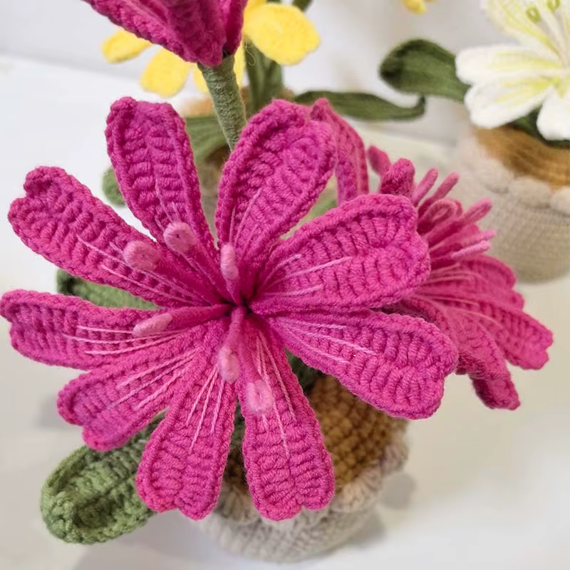 Vase à fleurs en Crochet