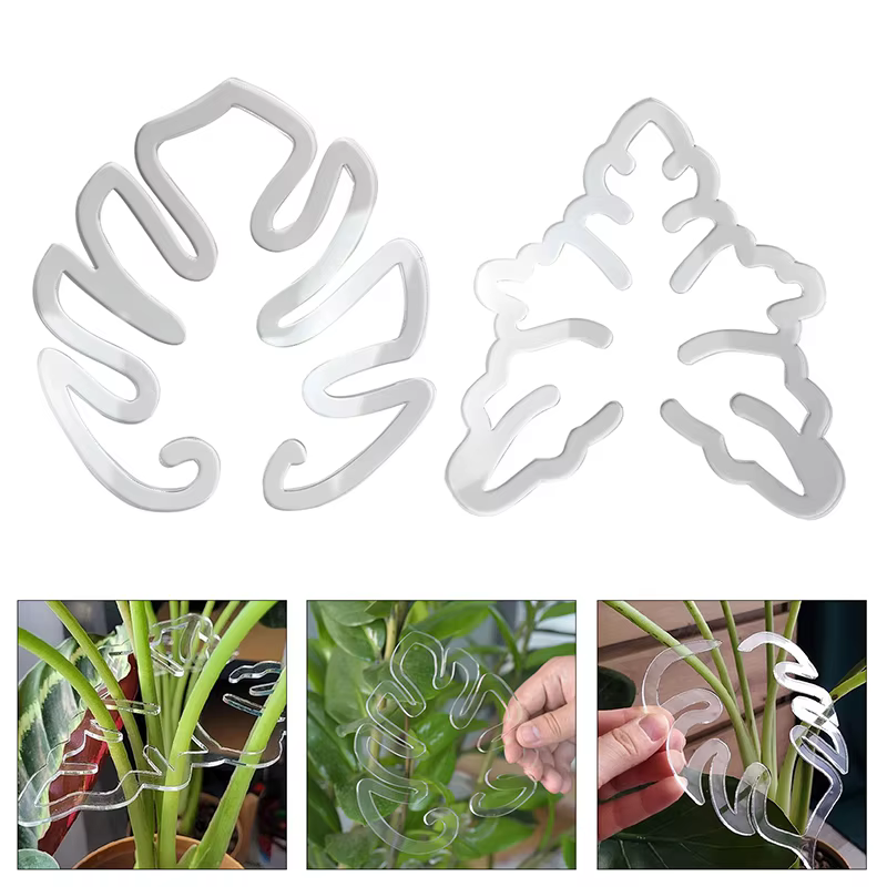 Monstera Support pour plantes