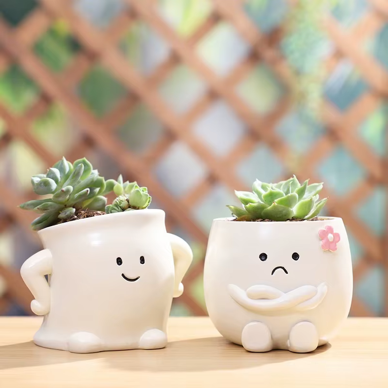 Mini Pot de plantes en résine avec visage Smiley