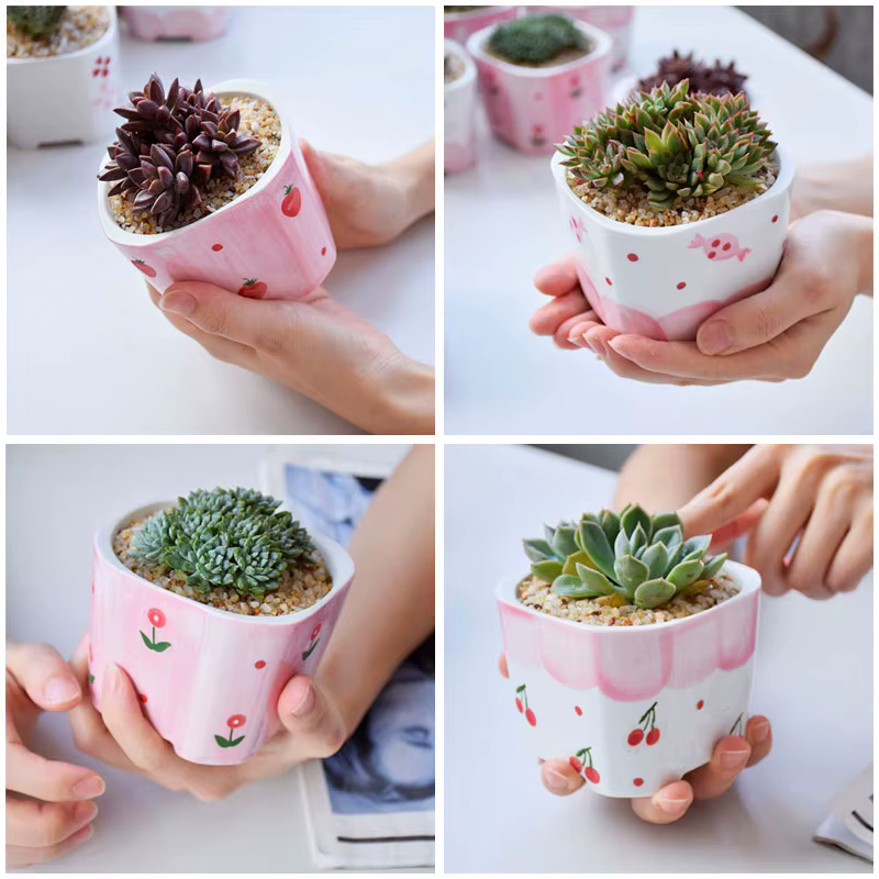 Pot de fleurs succulentes carré en céramique peint à la main pour fille rose