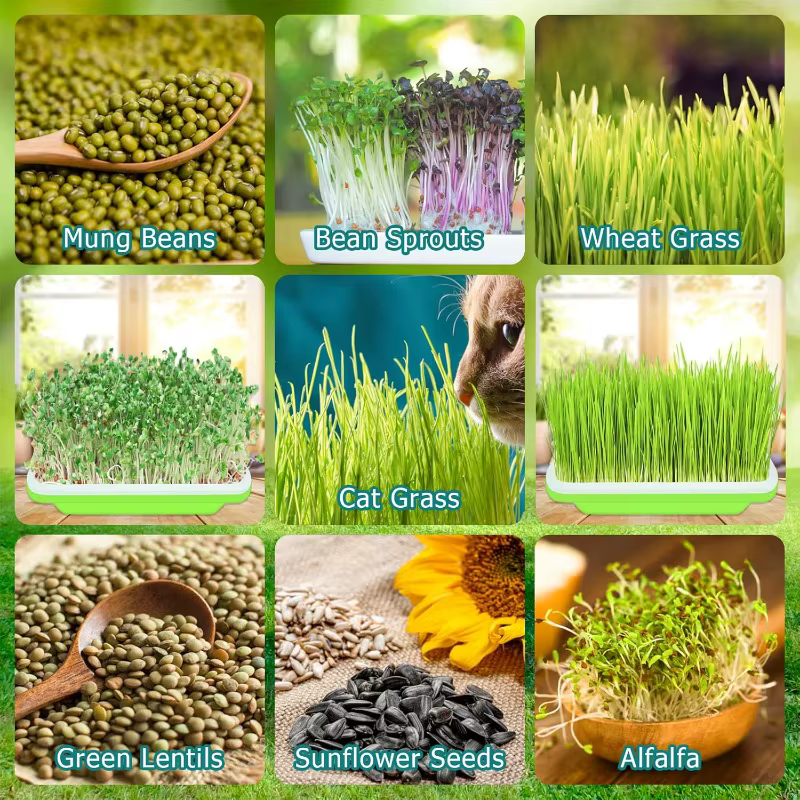 Plateau de Germination Pot de graines de plantes jardin Double couche Arc système de culture hydroponique sans sol Pots de semis accessoires de jardinage