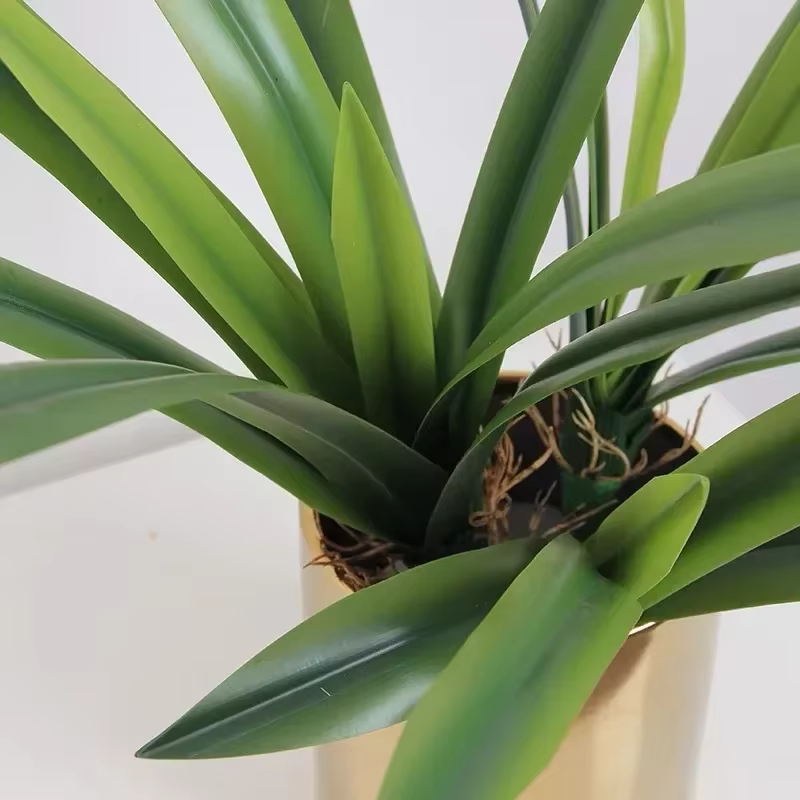 Feuilles de clivia artificielles plantes vertes
