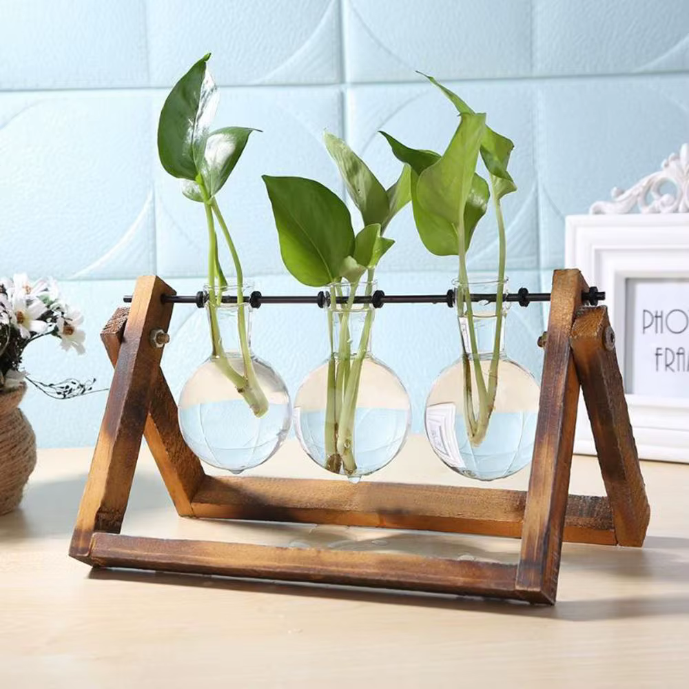 Pot de fleurs en verre avec cadre en bois