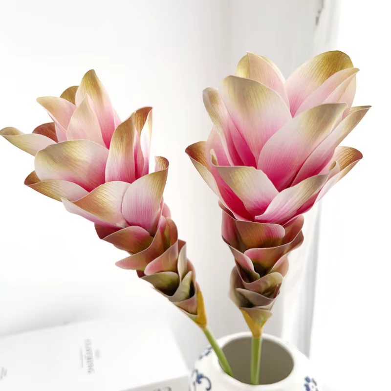Simulation de fleur de gingembre dégradée