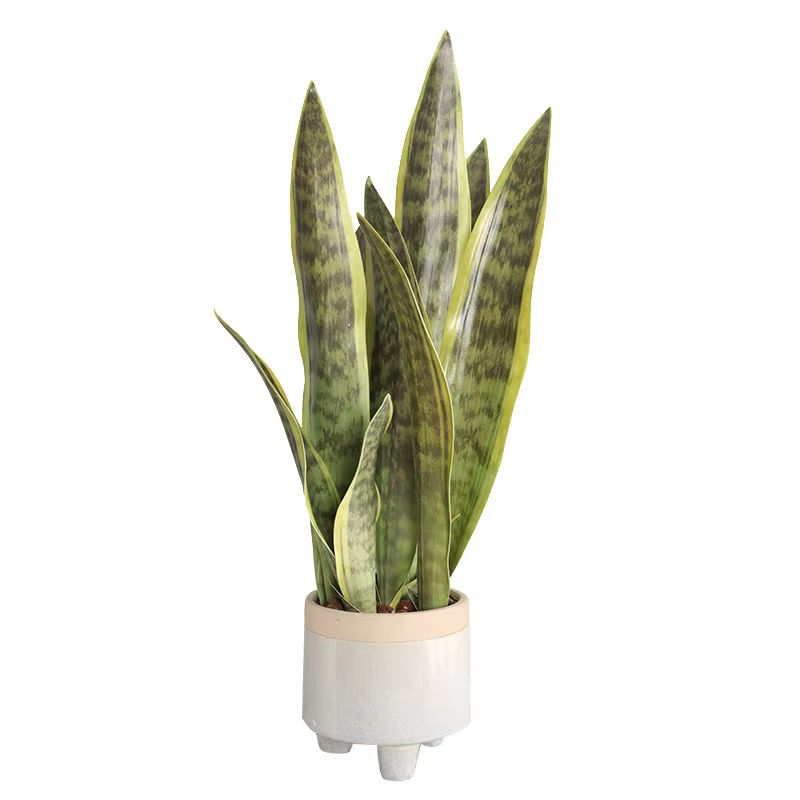 Plantes artificielles, succulentes réalistes