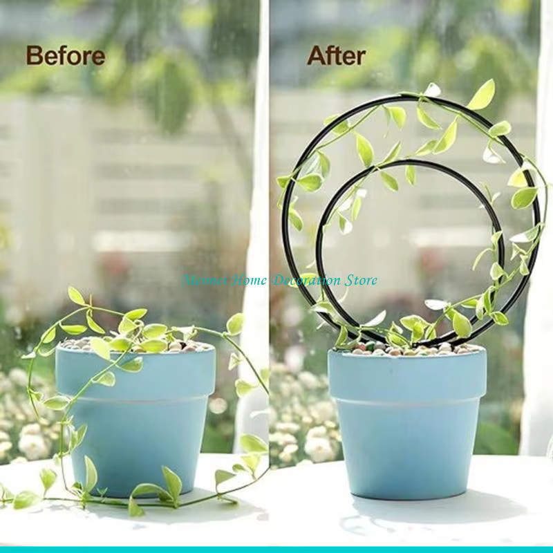 H7BF – treillis pour plantes d'intérieur