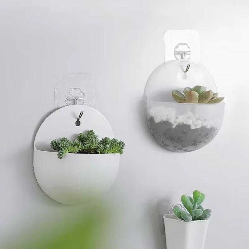 Plante de fleurs jardin intérieur maison
