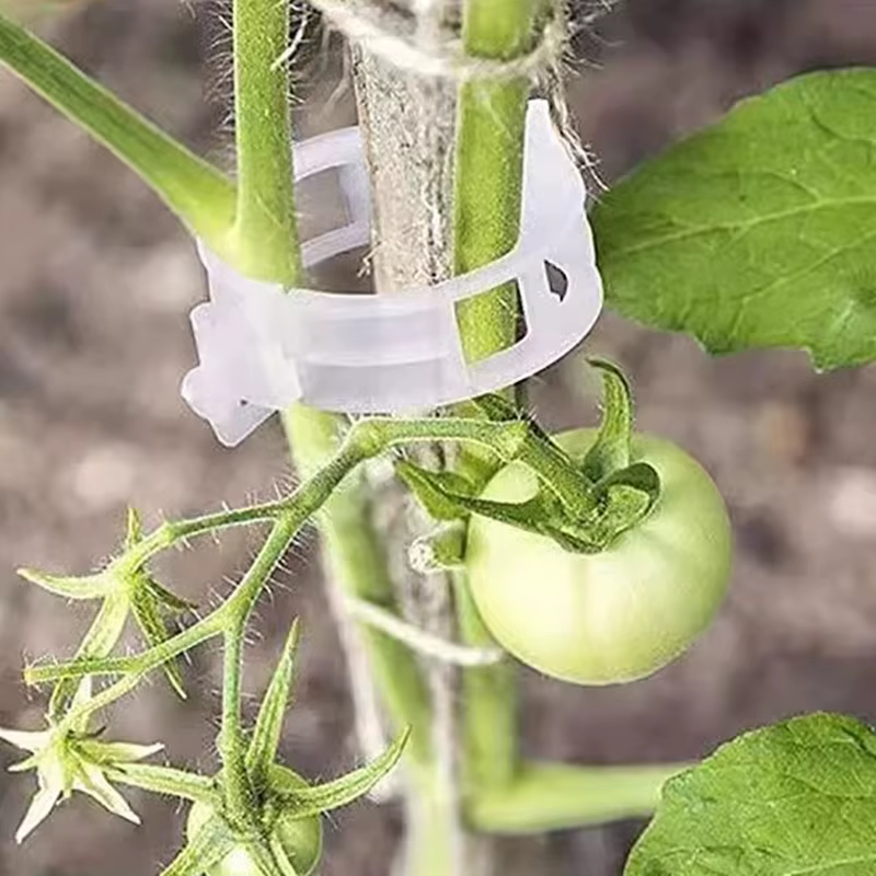 Clips de Support de plantes en plastique