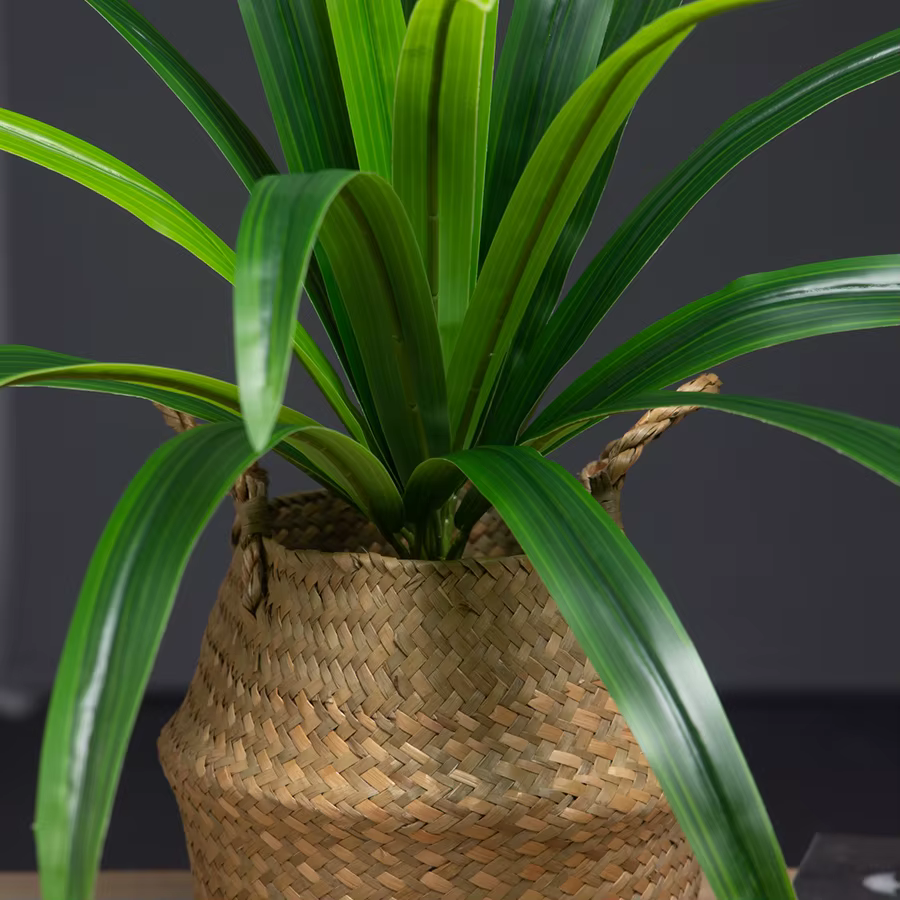 Plantes de Magnolia artificielles 50-65cm