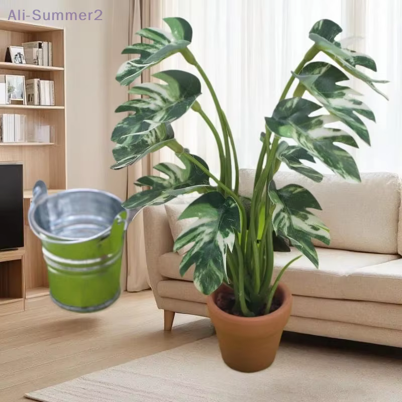 Plante Monstera Miniature délicate pour maison de poupée 1/12