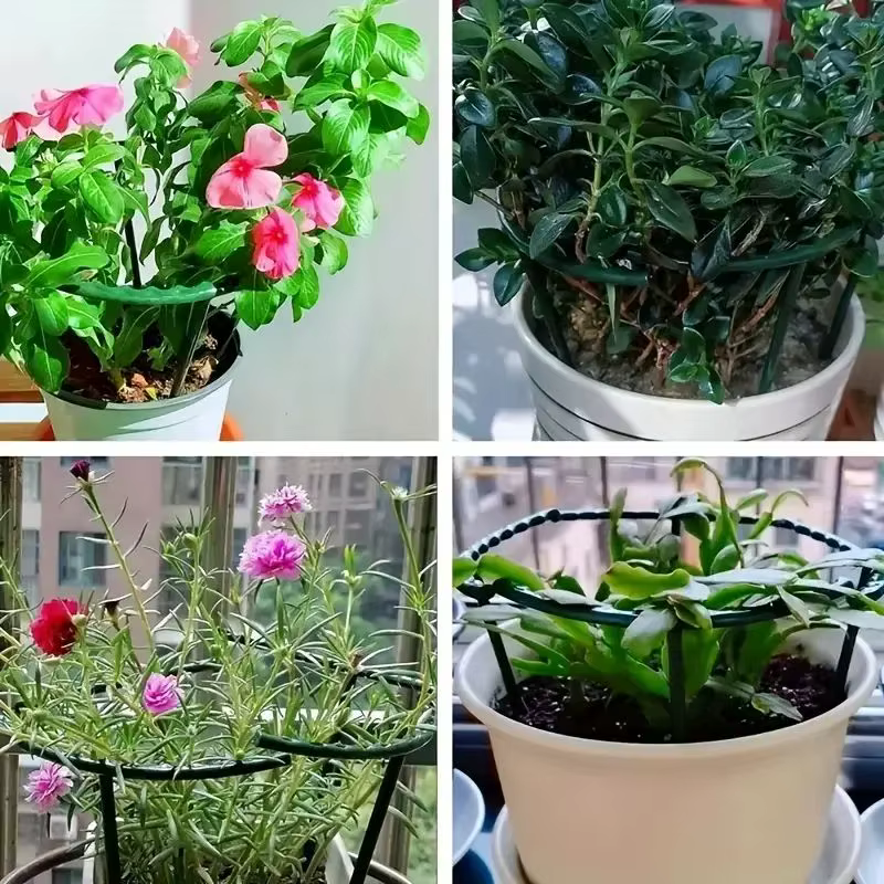 Piquets de Support pour plantes