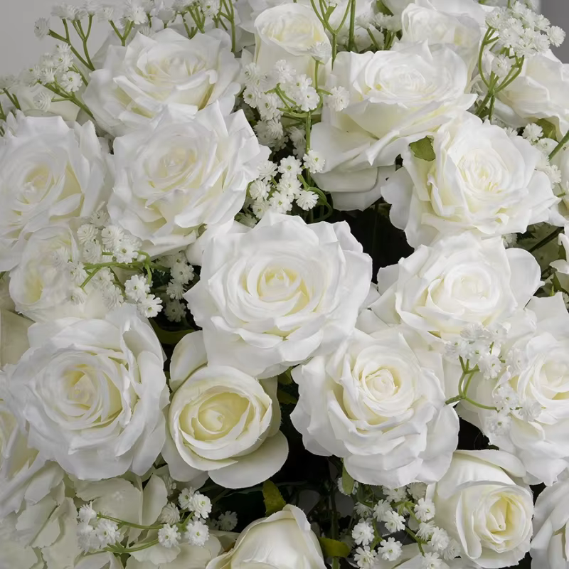 Hortensia Rose blanche