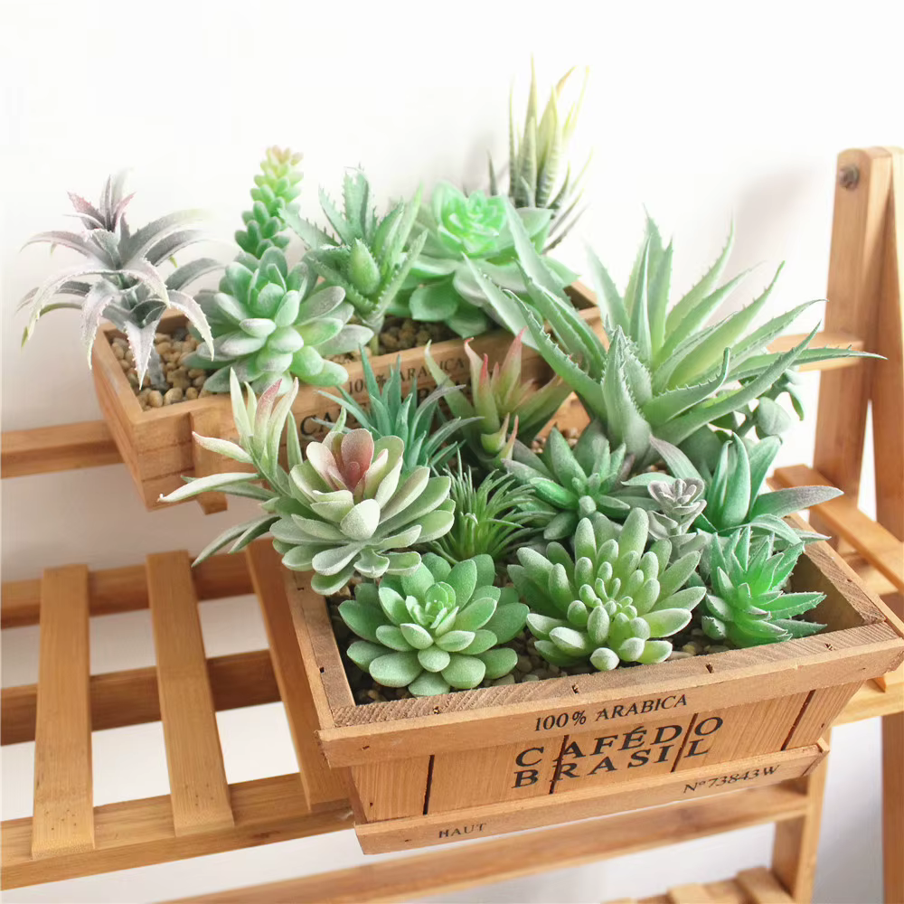 Plantes succulentes artificielles floquées vertes