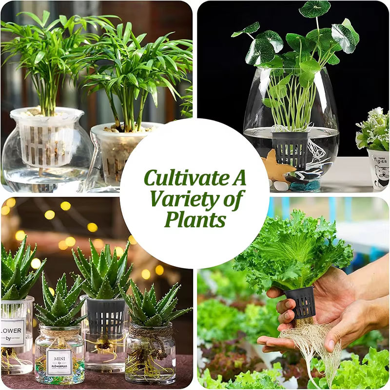 Lot de 20 paniers de culture pour jardin avec filet