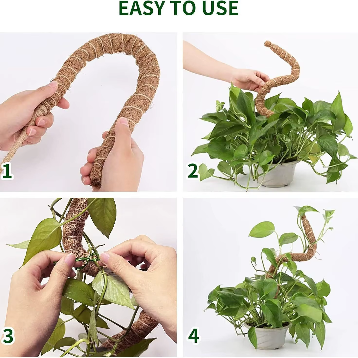 Support de grimpement pliable pour plantes