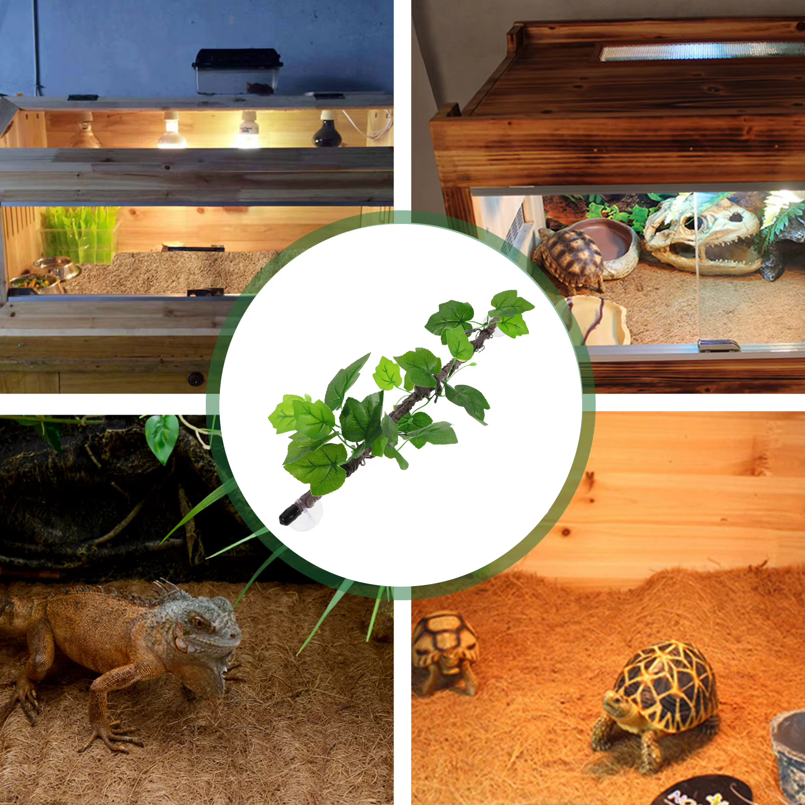 Branches de Reptiles, vignes de Jungle
