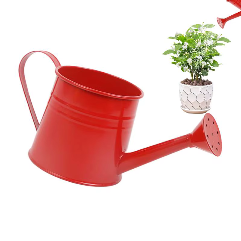 Petit arrosoir pour plantes d'intérieur