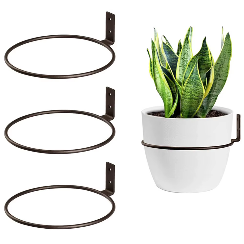​ Anneau de support pour plantes