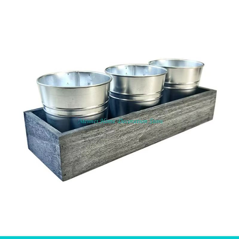 H7BF – jardinière succulente