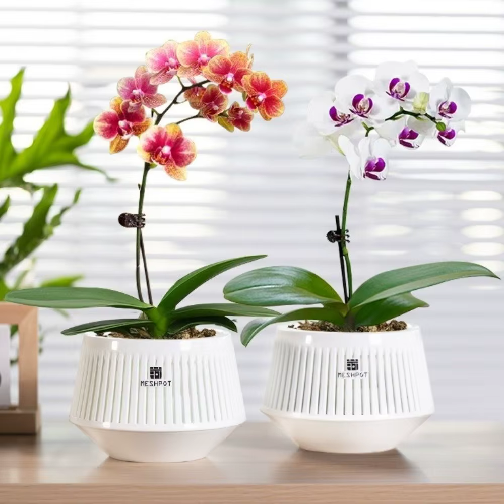 Pot de culture en maille à compartiments pour orchidées