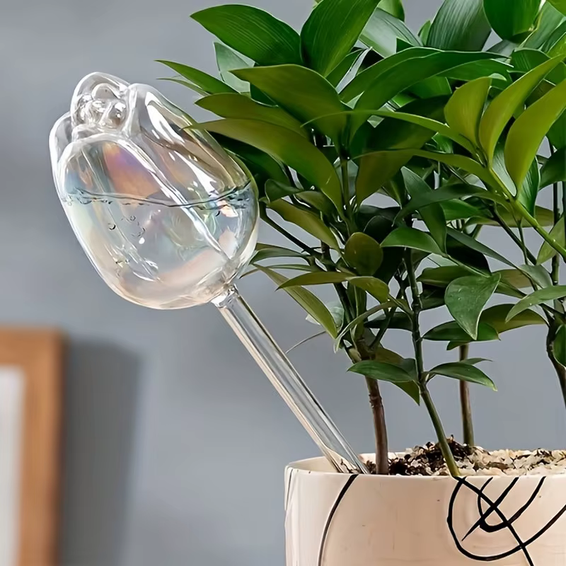 Boules d'arrosage pour plantes tulipes roses de jardin