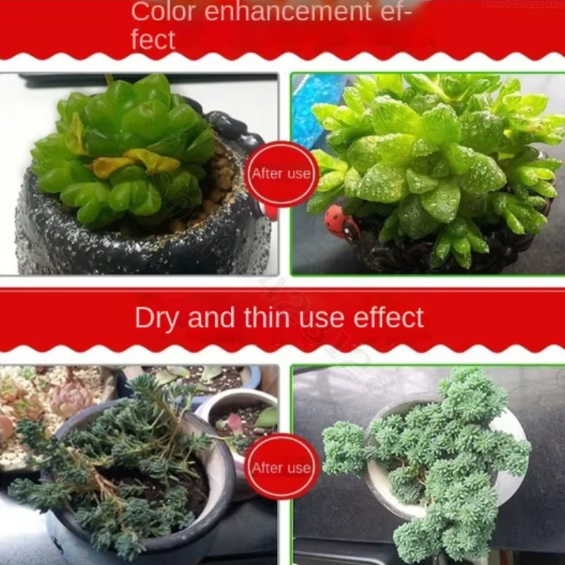 Solution hydroponique pour plantes nutritives