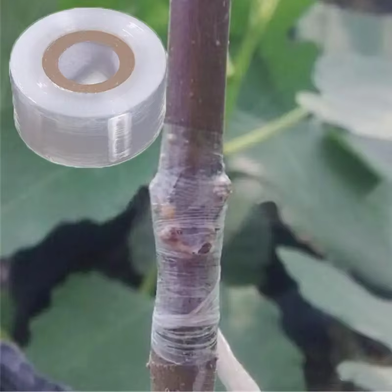1 rouleau de ruban de fixation pour plantes élastique