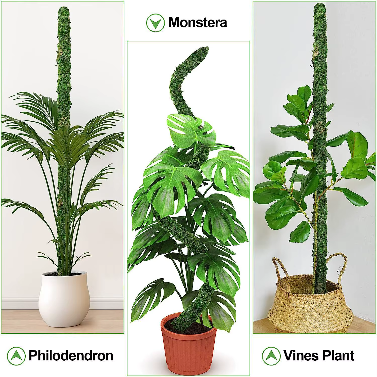 Poteau de mousse pliable pour plantes