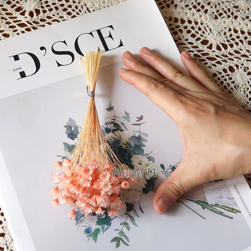 100 pièces/Mini fleurs étoilées séchées Mikado