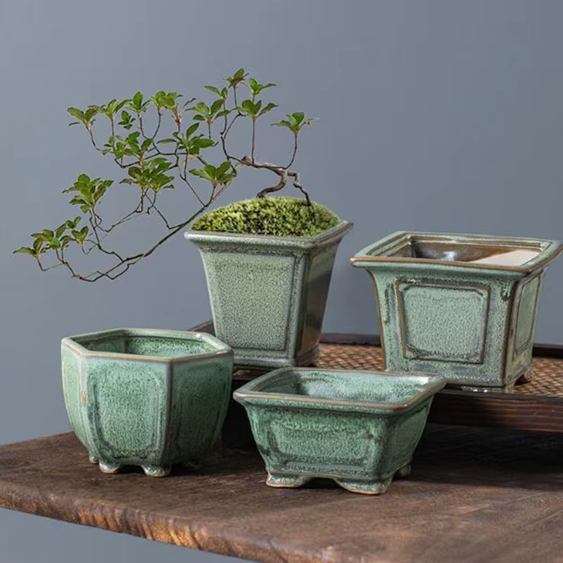 Pot de plantes succulentes émaillées en poterie grossière