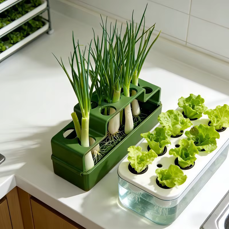 Boîte de culture hydroponique pour la repousse de plantes