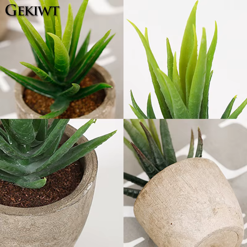 Mini plantes succulentes artificielles à feuilles persistantes
