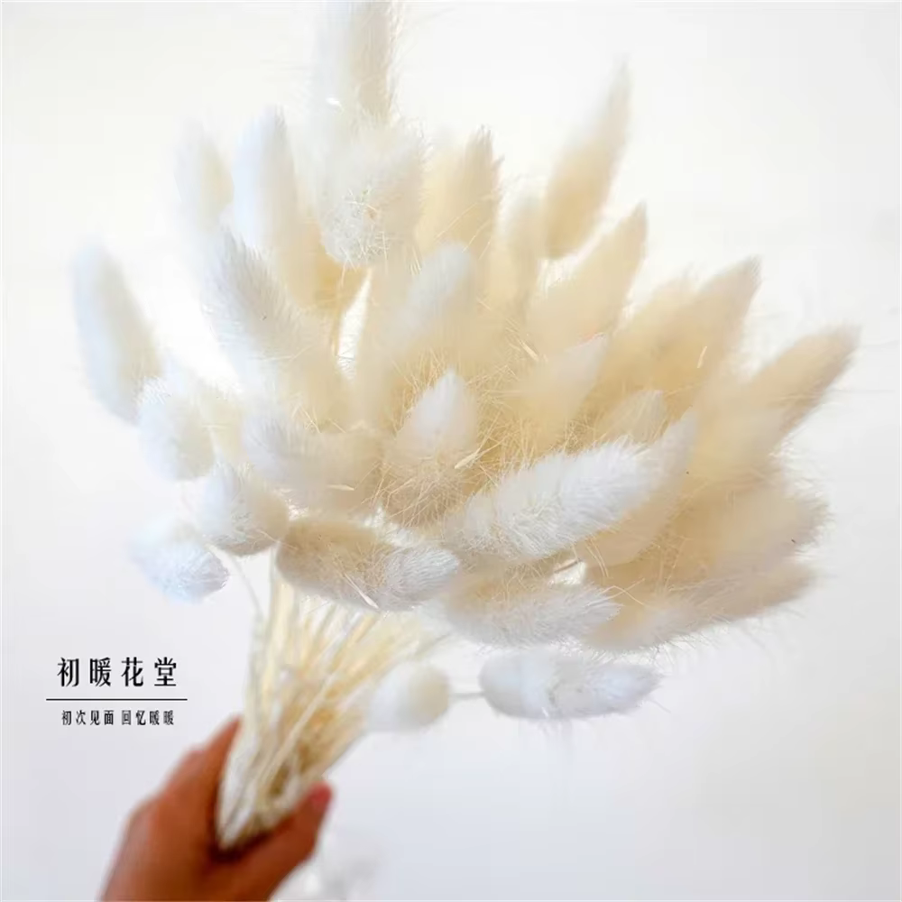 Fleurs naturelles séchées pour décoration de gâteau