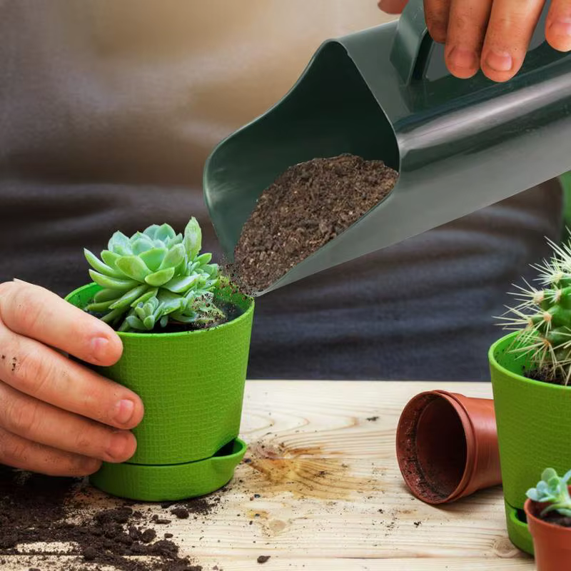 Pelle de jardin avec poignée pour la plantation de plantes succulentes