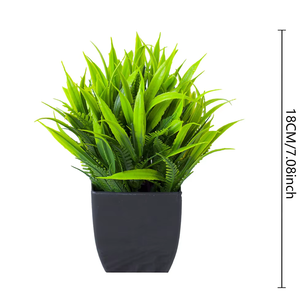 Pot noir de fausse plante