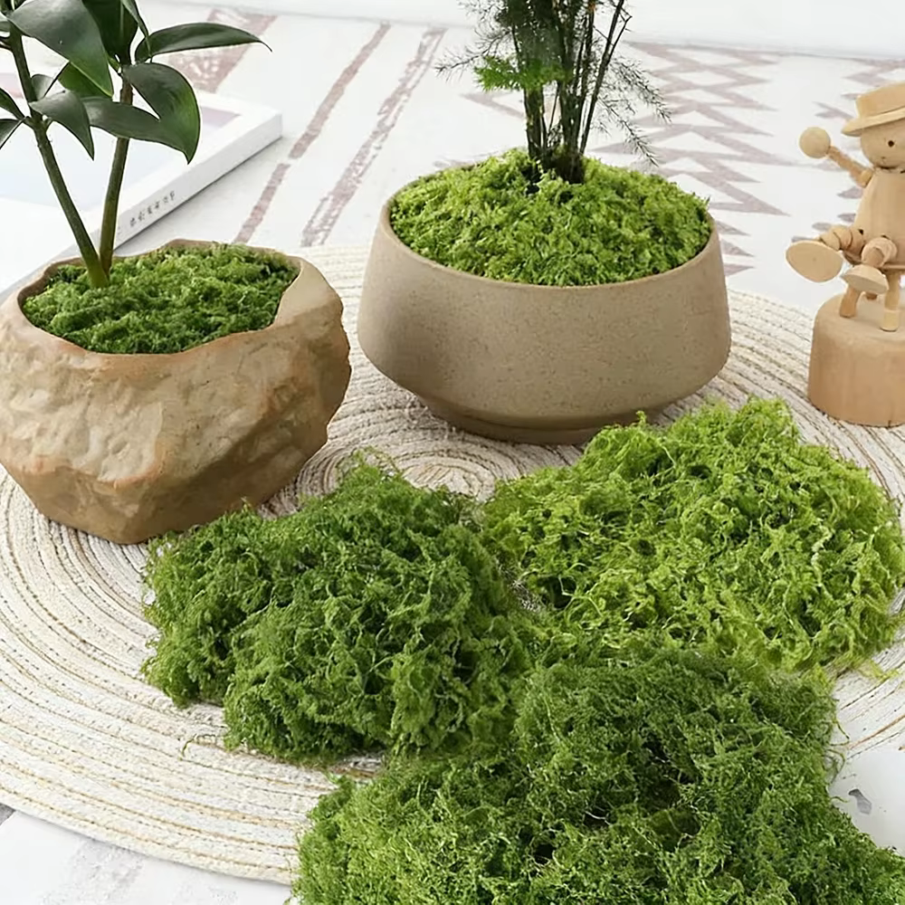 Plantes vertes artificielles