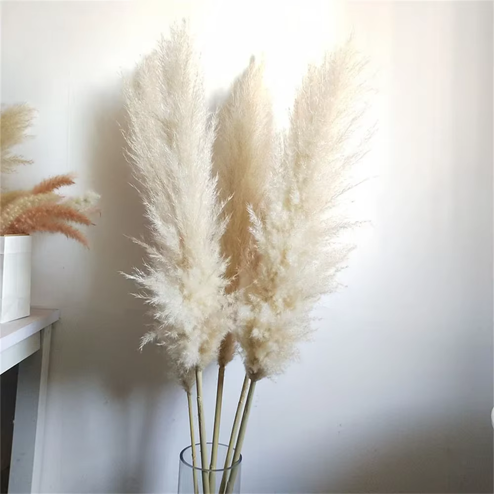 Grand Bouquet de Fleurs vaccées Naturelles Blanches et Colorées