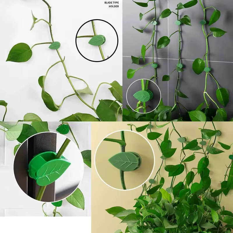 Clips de fixation murale pour plantes grimpantes, autocollant en acrylique, crochet auto-adhésif, support de Traction pour plantes de vigne, décoration intérieure et extérieure