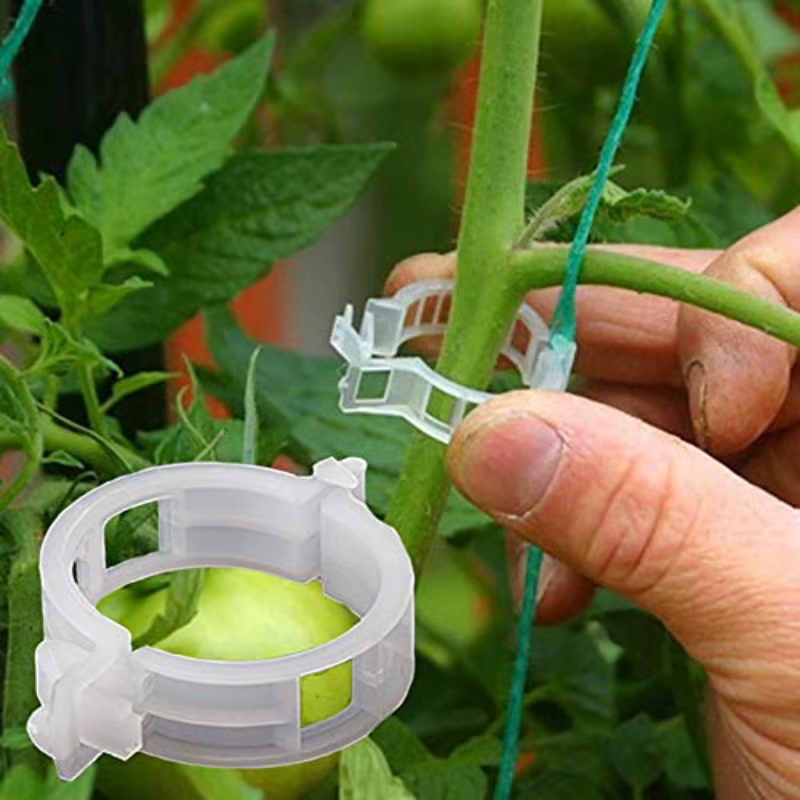 Clip de vigne pour plantes 100/200/500