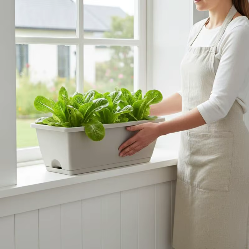 Pot de fleurs auto-absorbant pour légumes