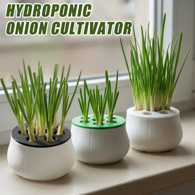 Kit de culture hydroponique réutilisable pour oignon vert