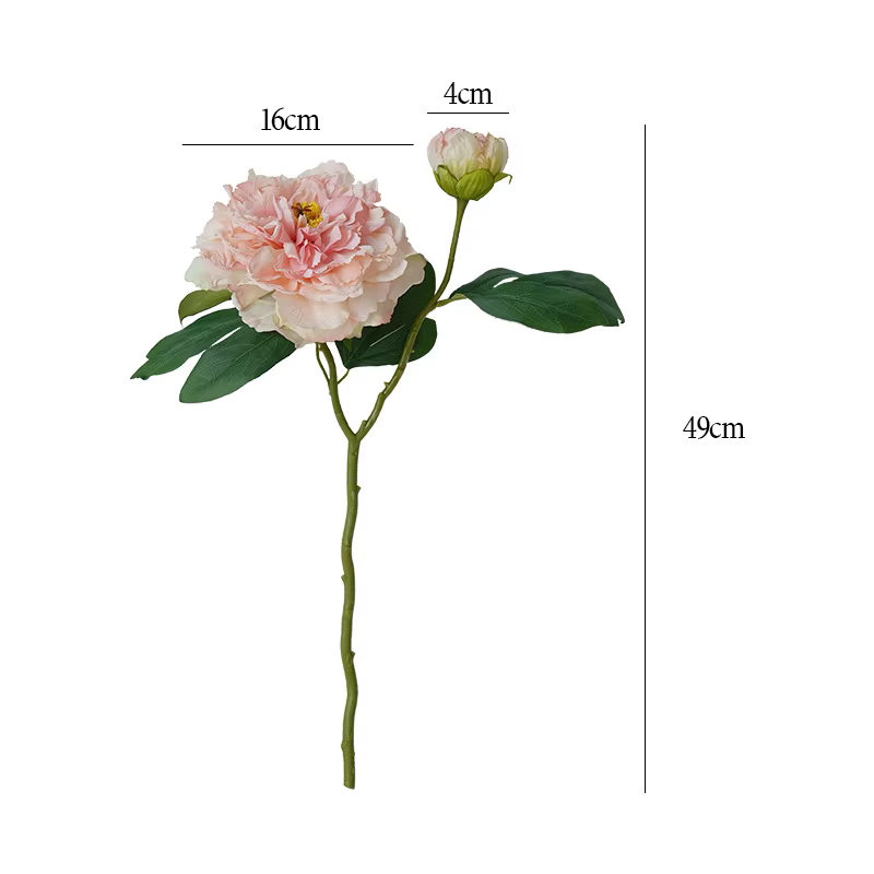 Fleurs de Simulation de pivoine