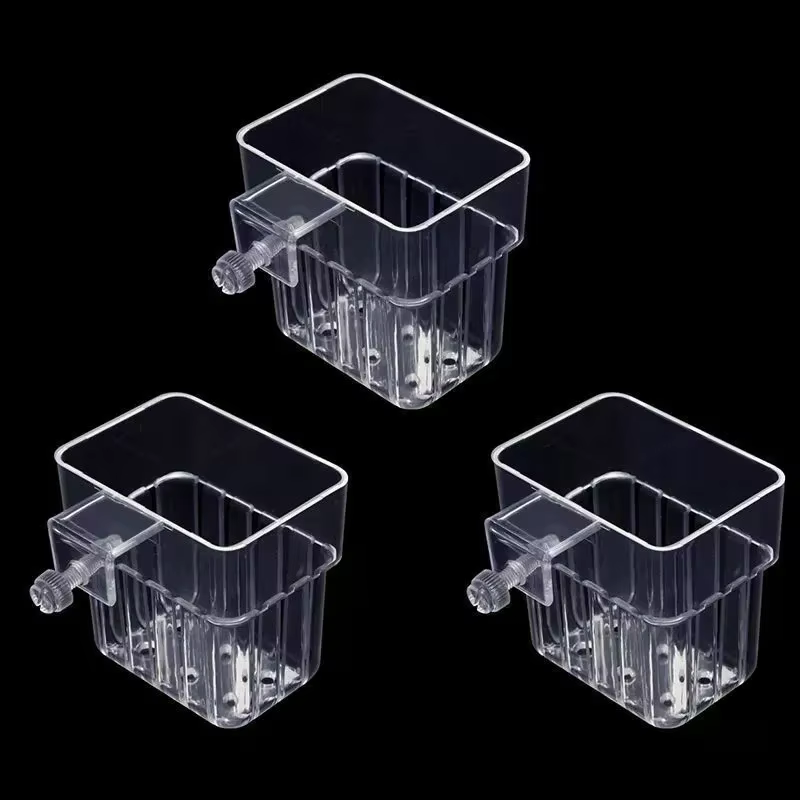 Tasse de plantation hydroponique