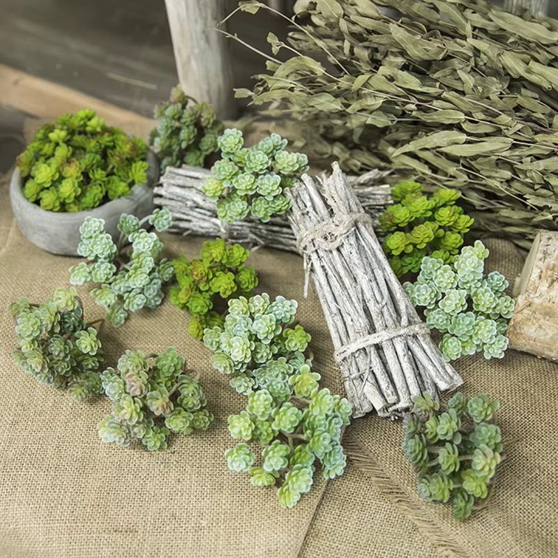 Plante succulente artificielle simulée