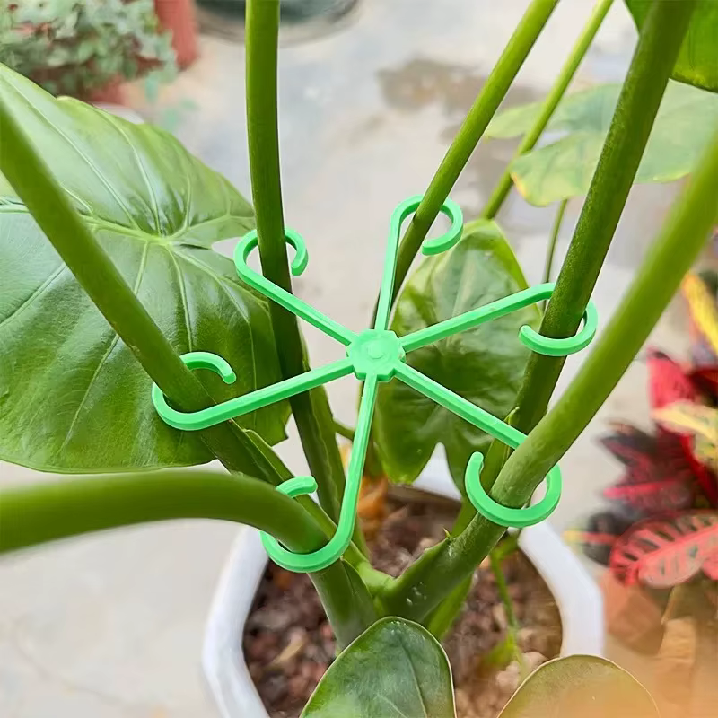 Piquets de Support de tige de plante de fleur